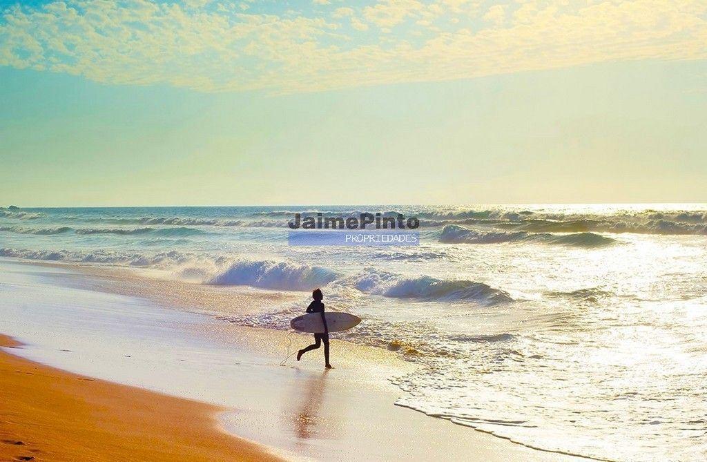 Comprar Loja Figueira da Foz - Fotos para Terreno p construção Apartamentos, Moradias, Equipamentos....