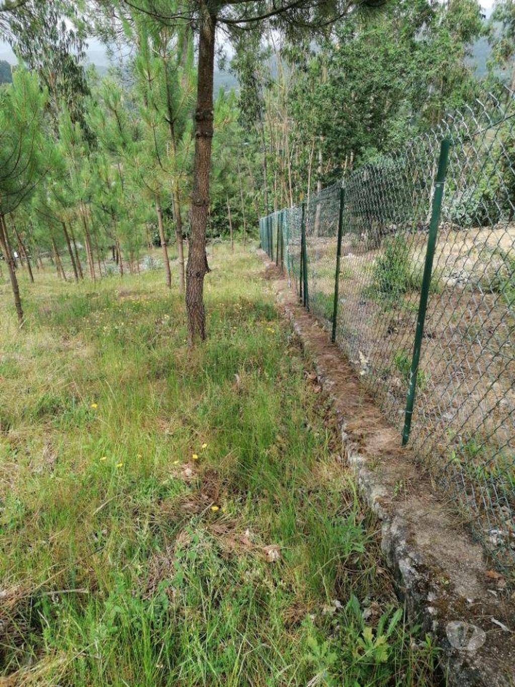 Terrenos Paredes de Coura - Fotos para Terreno rústico (urbanizável) inserido em zona urbana de acordo
