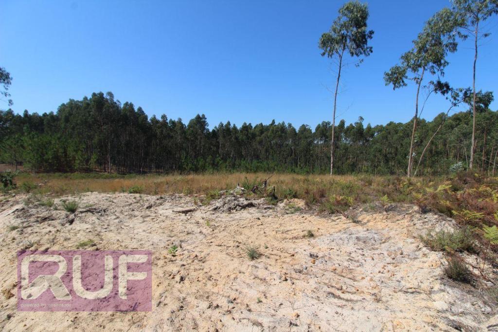 Terrenos Leiria - Fotos para Lote de Terreno com projeto para moradia V4 em Souto da