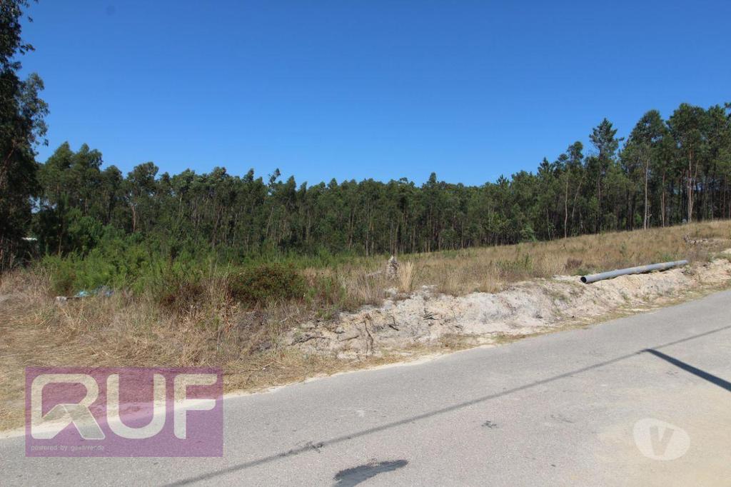 Terrenos Leiria - Fotos para Lote de Terreno com projeto para moradia V4 em Souto da