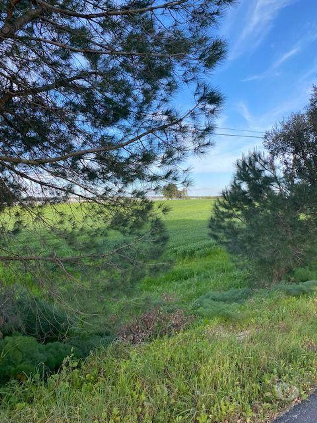 Terrenos Montijo - Fotos para Montijo-Terreno em Pegões Figueiras Montijo (165)