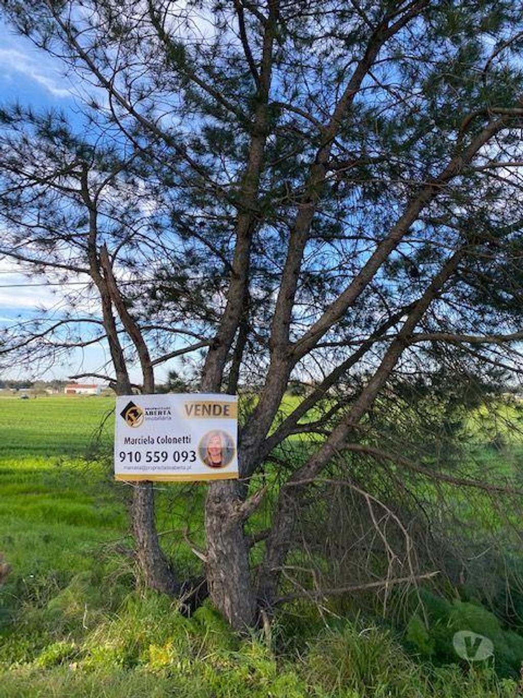 Terrenos Montijo - Fotos para Montijo-Terreno em Pegões Figueiras Montijo (165)