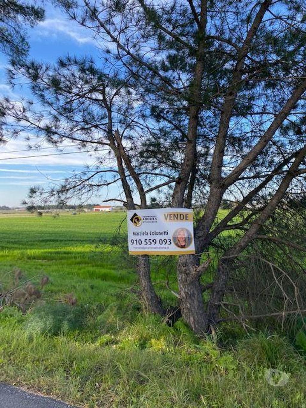 Terrenos Montijo - Fotos para Montijo-Terreno em Pegões Figueiras Montijo (165)
