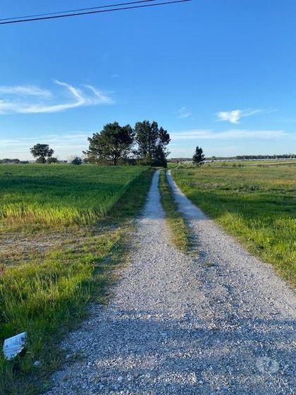 Terrenos a venda - Fotos para Montijo-Terreno em Pegões Figueiras Montijo (165)