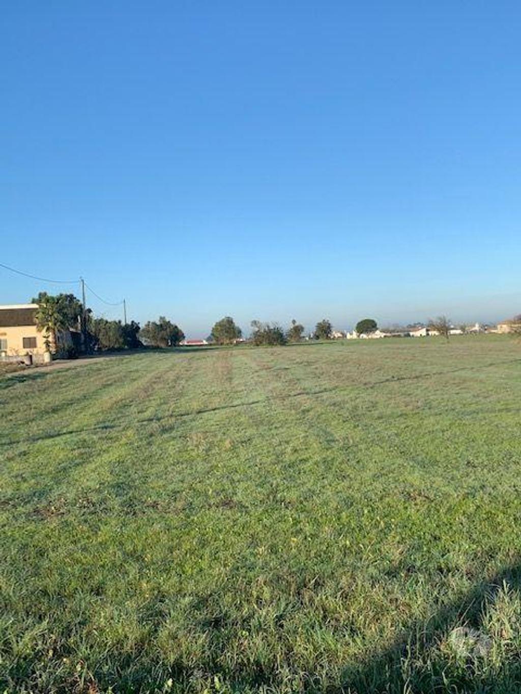 Terrenos Palmela - Fotos para Terreno Poceirão Marateca Para construção de habitação e Armazém