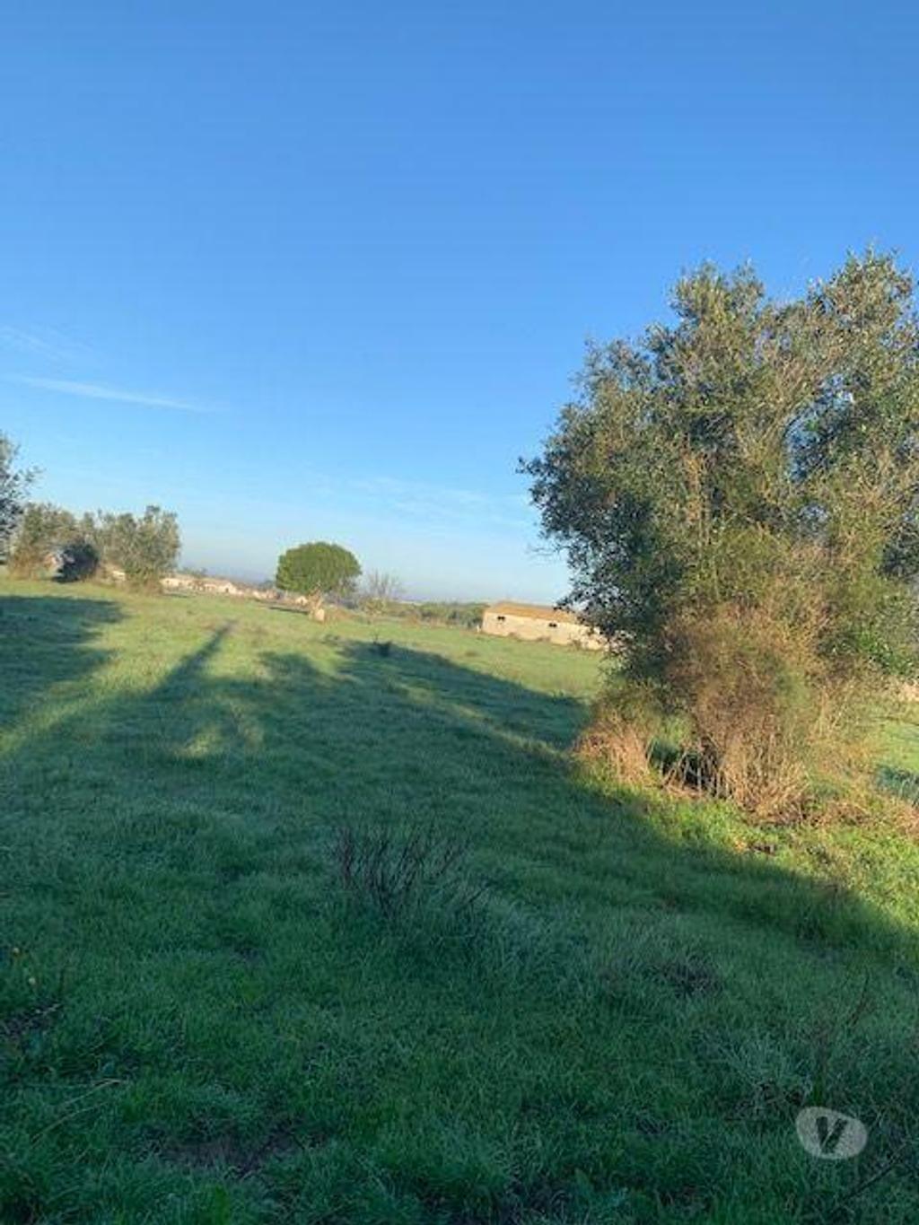 Terrenos Palmela - Fotos para Terreno Poceirão Marateca Para construção de habitação e Armazém