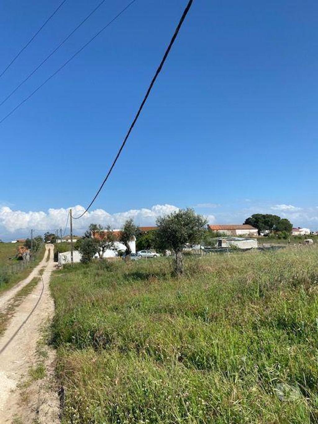Terrenos Palmela - Fotos para Palmela-Terreno em Lagameças Poceirão Marateca (218)