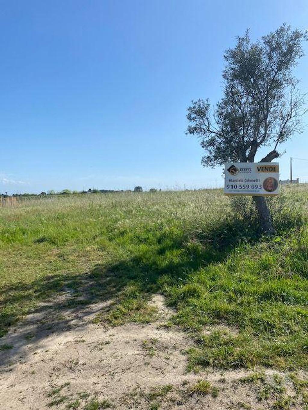 Terrenos Palmela - Fotos para Palmela-Terreno em Lagameças Poceirão Marateca (218)