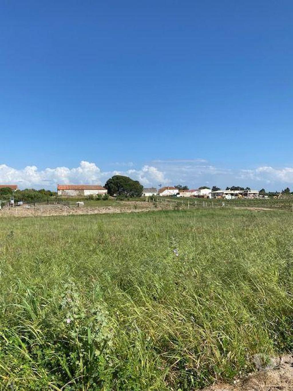 Terrenos Palmela - Fotos para Palmela-Terreno em Lagameças Poceirão Marateca (218)
