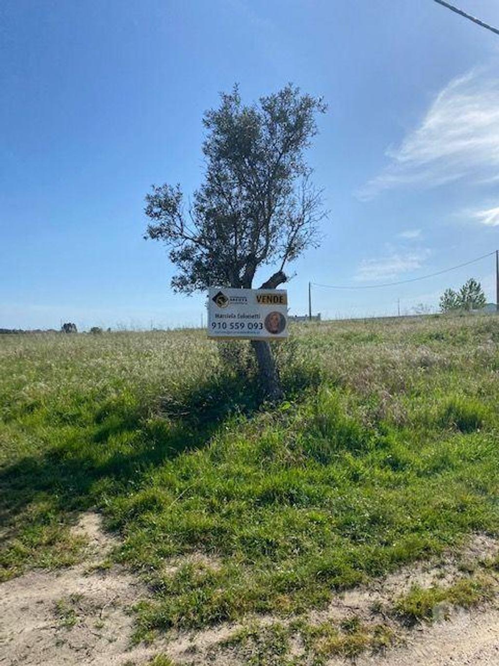 Terrenos Palmela - Fotos para Palmela-Terreno em Lagameças Poceirão Marateca (218)