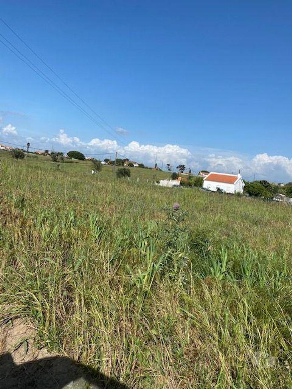 Terrenos Palmela - Fotos para Palmela-Terreno em Lagameças Poceirão Marateca (218)