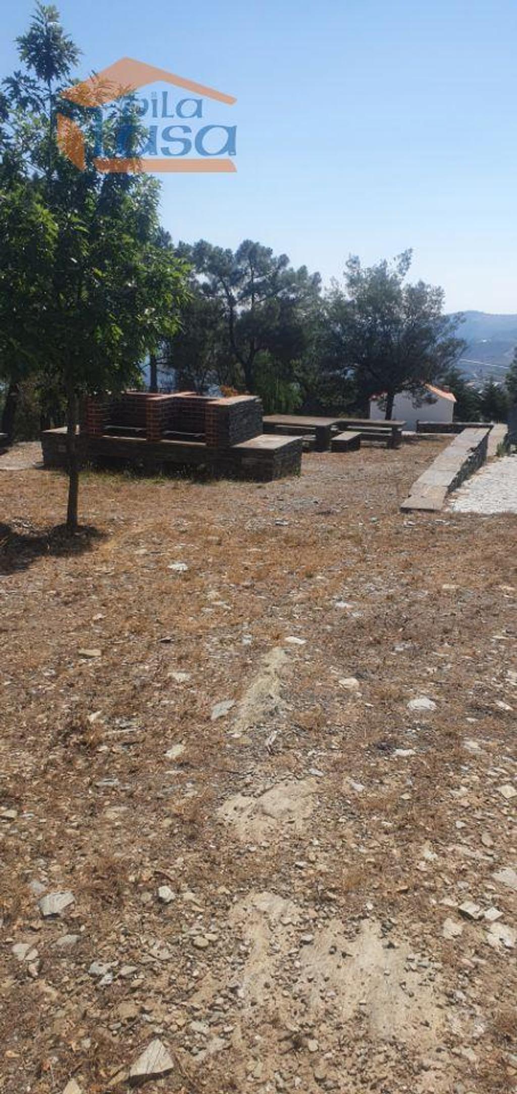 Terrenos São João da Pesqueira - Fotos para Terreno com paisagem para a Vila (803221003)
