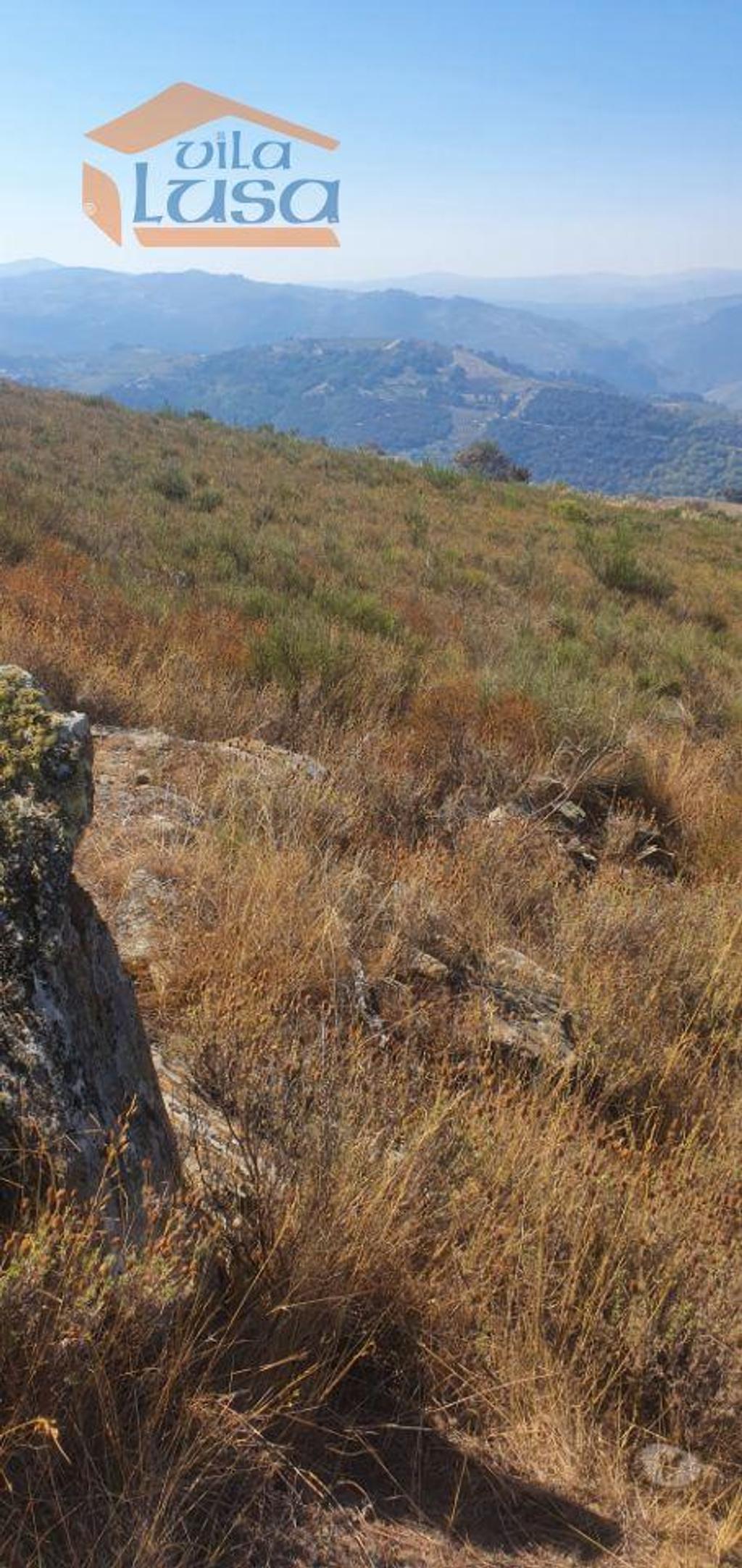 Terrenos São João da Pesqueira - Fotos para Terreno com paisagem para a Vila (803221003)