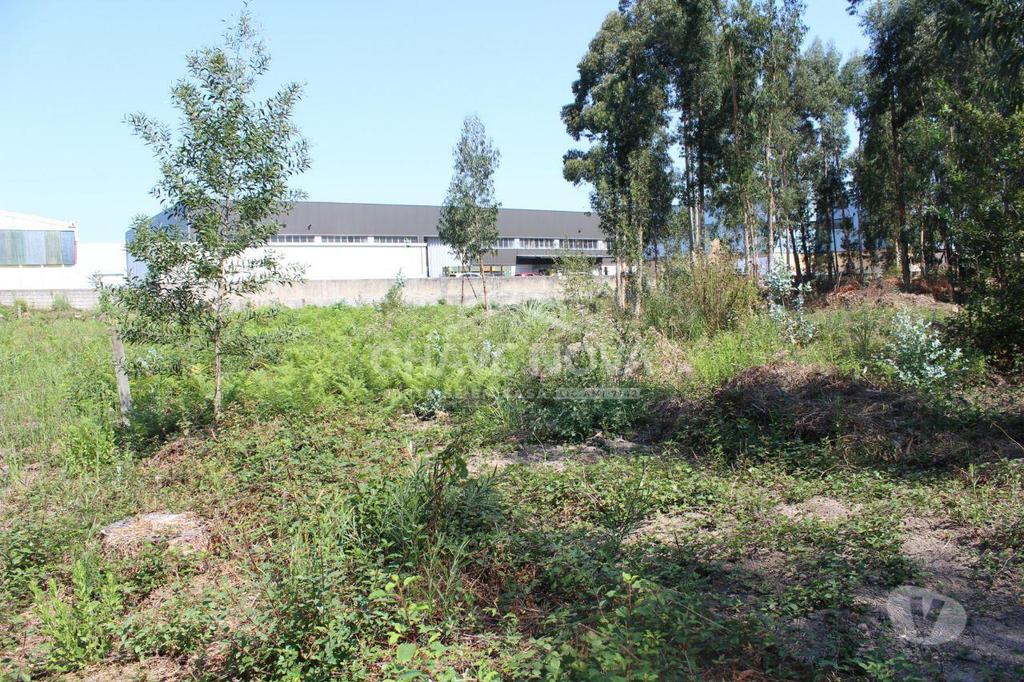 Terrenos Vila Nova de Gaia - Fotos para Vila-nova-de-gaia-Terreno industrial (MAD 01312)
