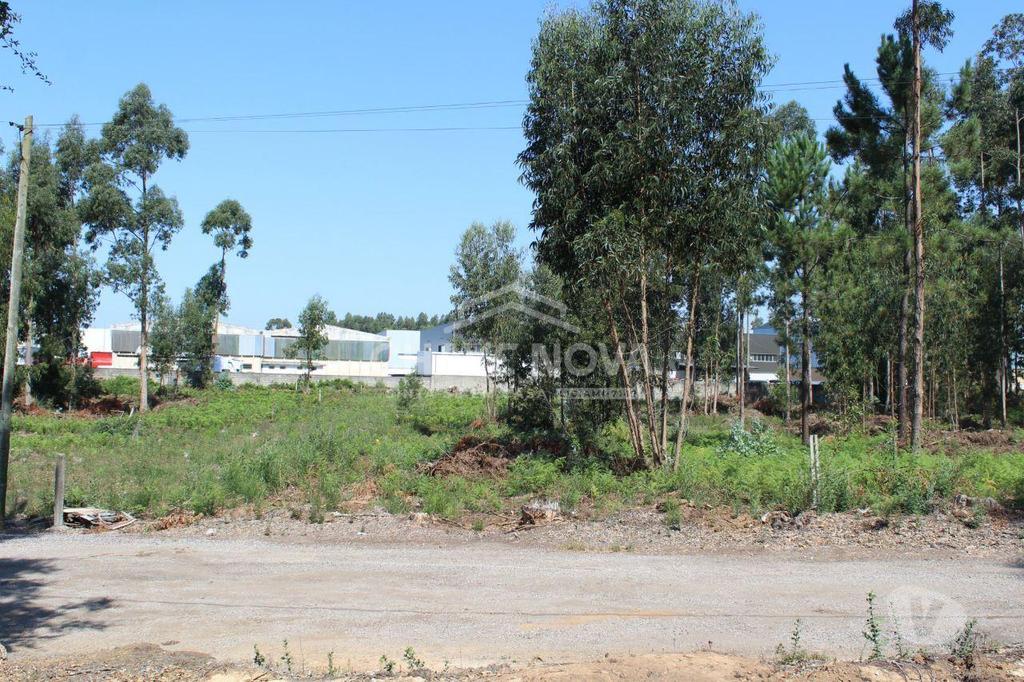 Terrenos Vila Nova de Gaia - Fotos para Vila-nova-de-gaia-Terreno industrial (MAD 01312)