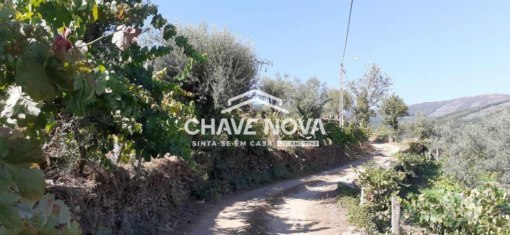 Terrenos Castelo de Paiva - Fotos para Terreno com projecto para construção de Moradia - Castelo de