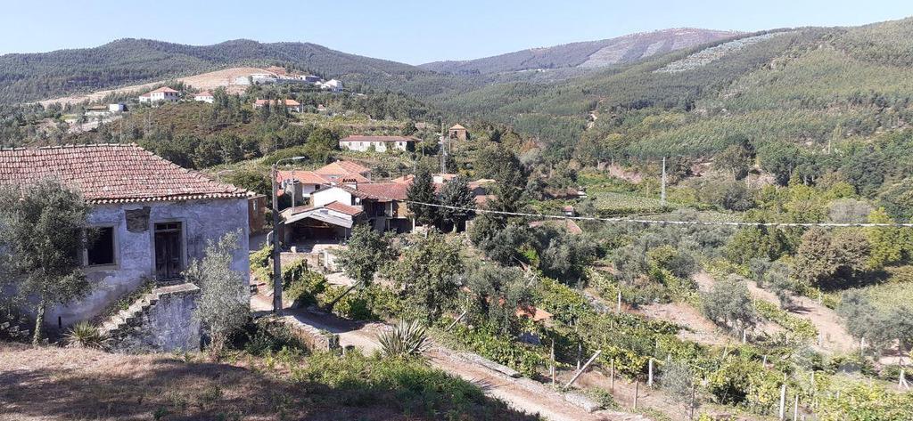 Terrenos Castelo de Paiva - Fotos para Terreno com projecto para construção de Moradia - Castelo de