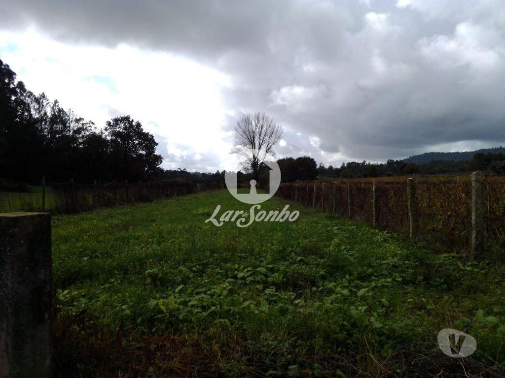 Terrenos Barcelos - Fotos para Barcelos-Terreno em Barcelos (265-T-00415)