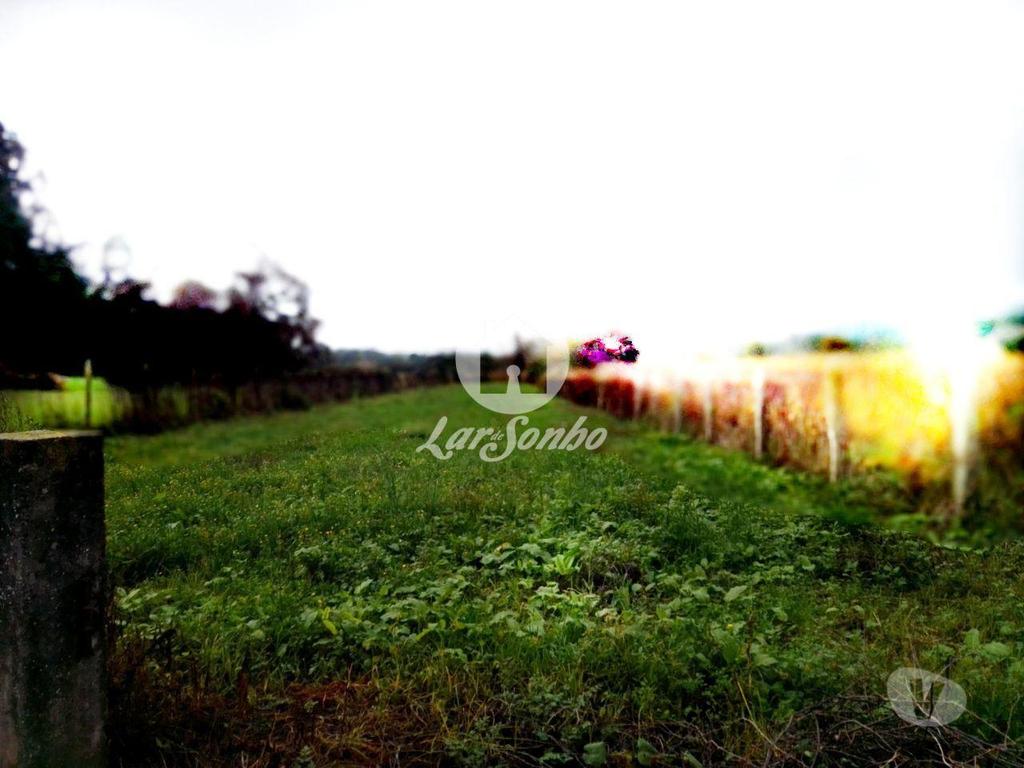 Terrenos Barcelos - Fotos para Barcelos-Terreno em Barcelos (265-T-00415)