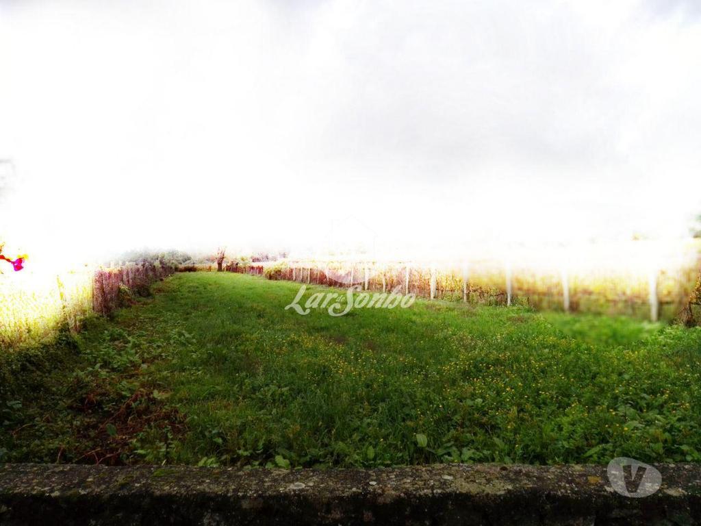 Terrenos Barcelos - Fotos para Barcelos-Terreno em Barcelos (265-T-00415)