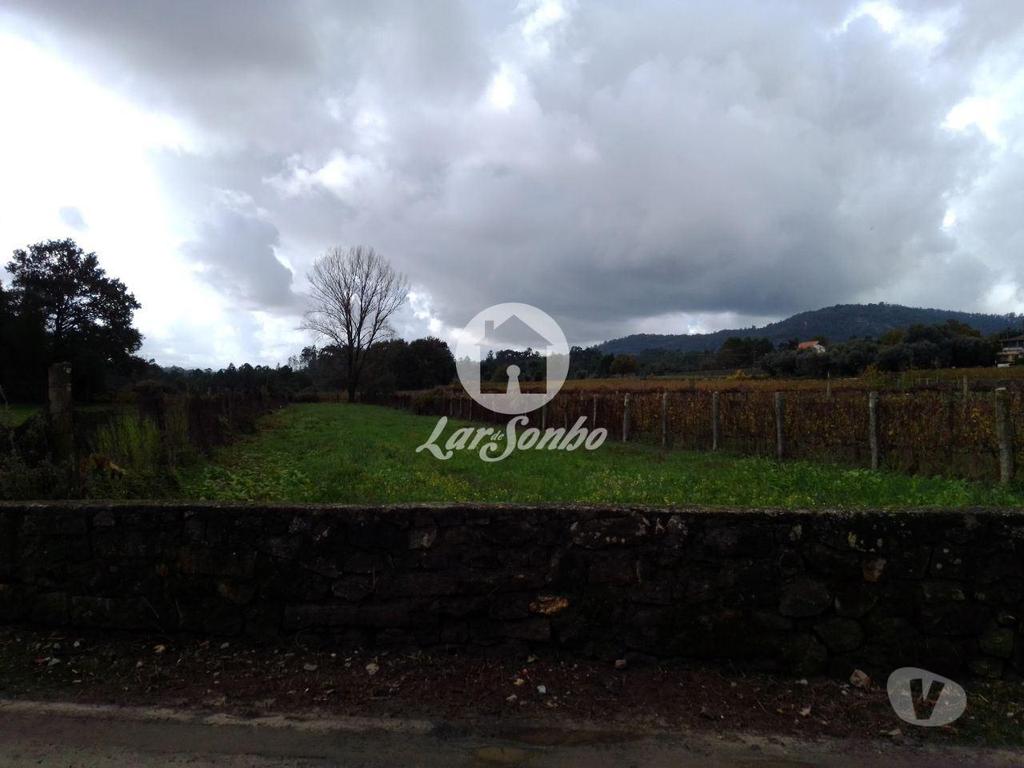 Terrenos Barcelos - Fotos para Barcelos-Terreno em Barcelos (265-T-00415)