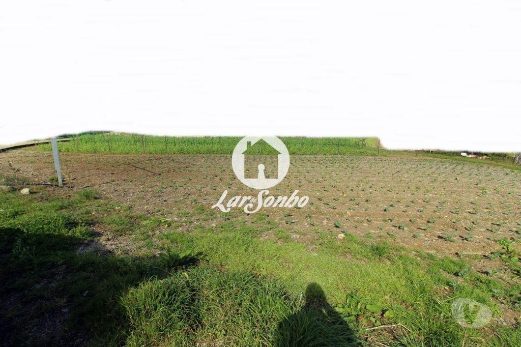 Terrenos Barcelos - Fotos para Barcelos-Terreno em Barcelos (265-T-00415)