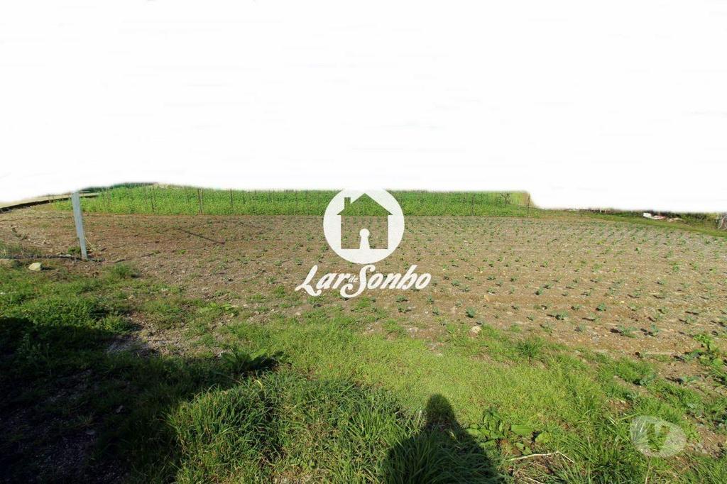 Terrenos Barcelos - Fotos para Barcelos-Terreno em Barcelos (265-T-00415)