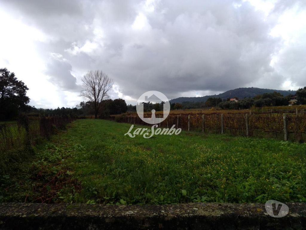 Terrenos Barcelos - Fotos para Barcelos-Terreno em Barcelos (265-T-00415)