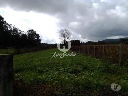 Terrenos - Fotos para Barcelos-Terreno em Barcelos (265-T-00415)