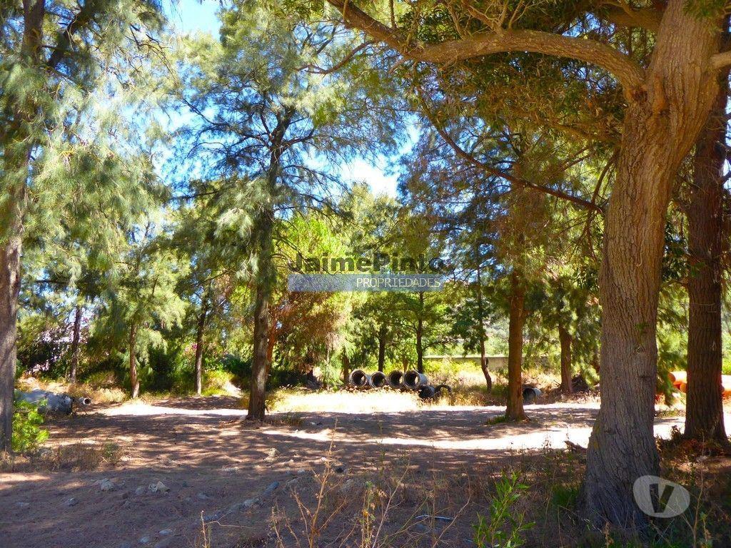 Terrenos Loures - Fotos para Terreno 2,4ha para Indústria ou Armazéns. Lisboa, Sacavém.
