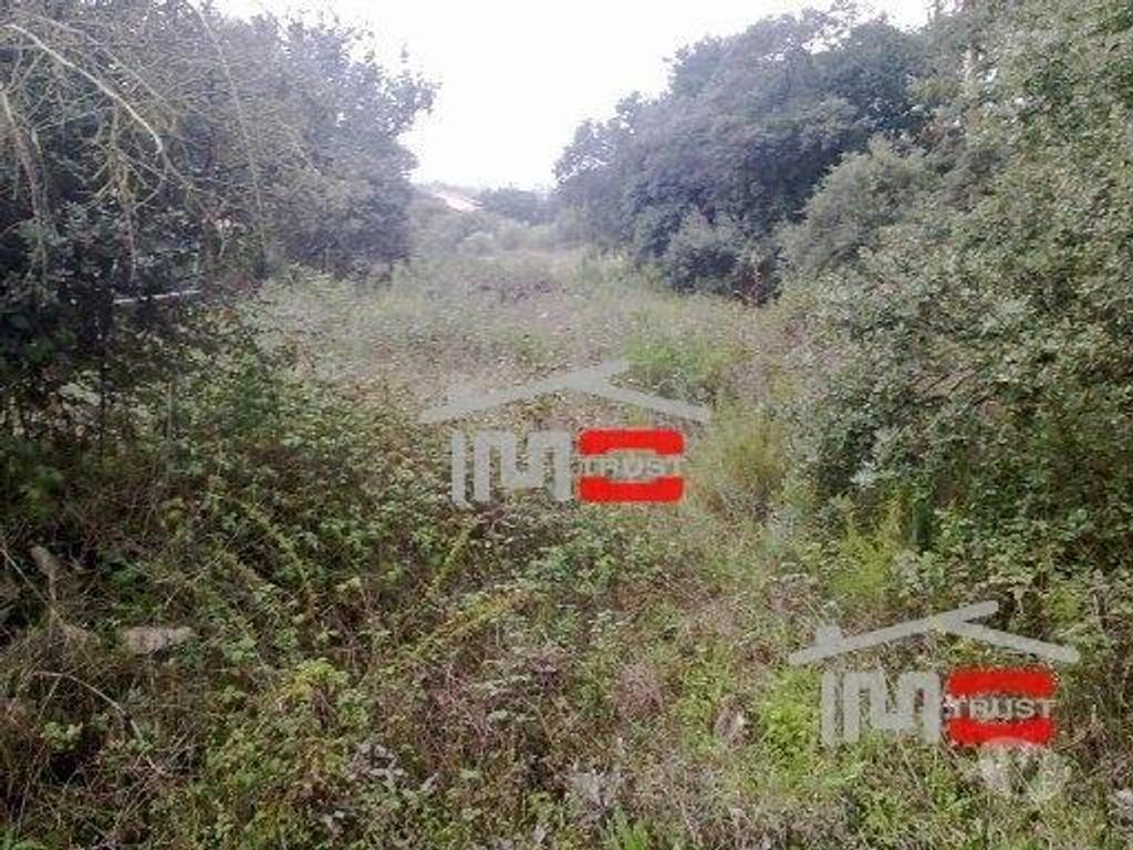 Terrenos Ourém - Fotos para Ourem-Terreno para construção (2-T-2315036)