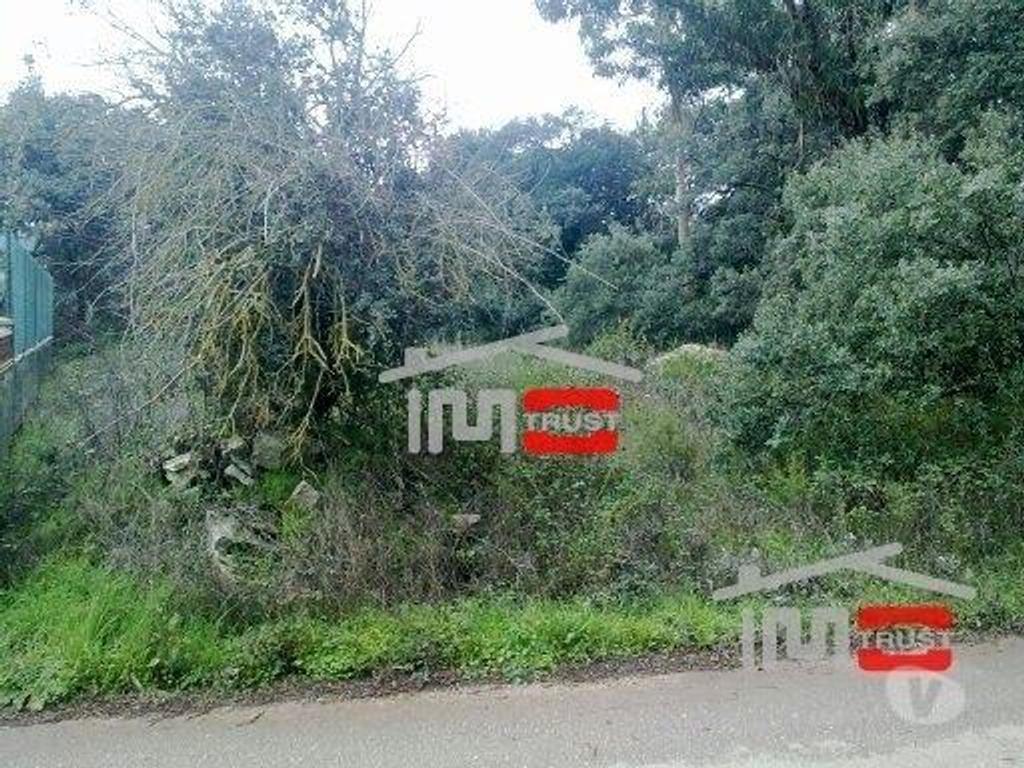 Terrenos Ourém - Fotos para Ourem-Terreno para construção (2-T-2315036)
