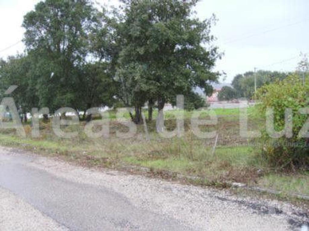 Terrenos Leiria - Fotos para Leiria-Lote de terreno - Azoia (2269 22)
