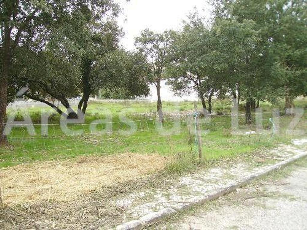 Terrenos Leiria - Fotos para Leiria-Lote de terreno - Azoia (2269 22)