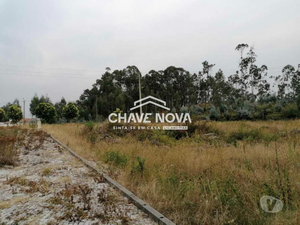 Comprar Loja Oliveira de Azeméis - Fotos para Terreno urbano em Fajões, Oliveira Azeméis
