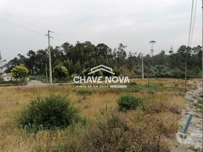 Venda Loja - Fotos para Terreno urbano em Fajões, Oliveira Azeméis