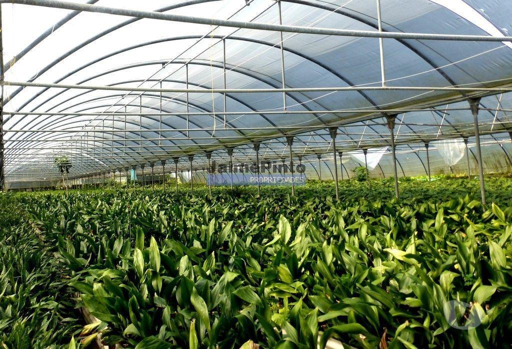Terrenos Lagos - Fotos para 10 Ha terra plantações verduras e casa. Portugal, Algarve, Lagos