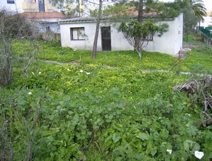 Terrenos a venda - Fotos para Terreno com 1080m2, bem situado em Rio de Mouro para construção