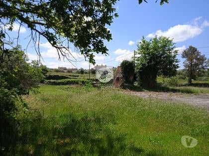 Casas para vender - Fotos para Tabua-Moradia em Terreno de 2000m2 - Tábua (1012003-7372)
