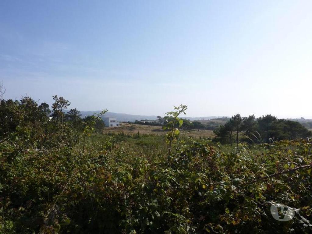 Terrenos Sintra - Fotos para Terreno de 6160m2 - com vista magnífica para o Mar! JANAS