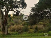 Terreno urbano com 7700m2 no Estoril junto ao Golf (1021016-1412)