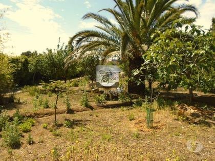 Terrenos a venda - Fotos para Terreno de 3800m2 ideal para Superfície Comercial - Alcoitão