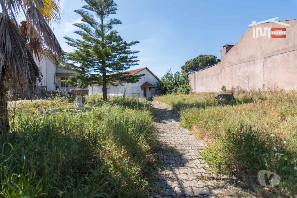 Apartamentos a venda Ourém - Fotos para Ourem-Moradia T2 + 1, Pinheiro - Ourém (1-M-000317)