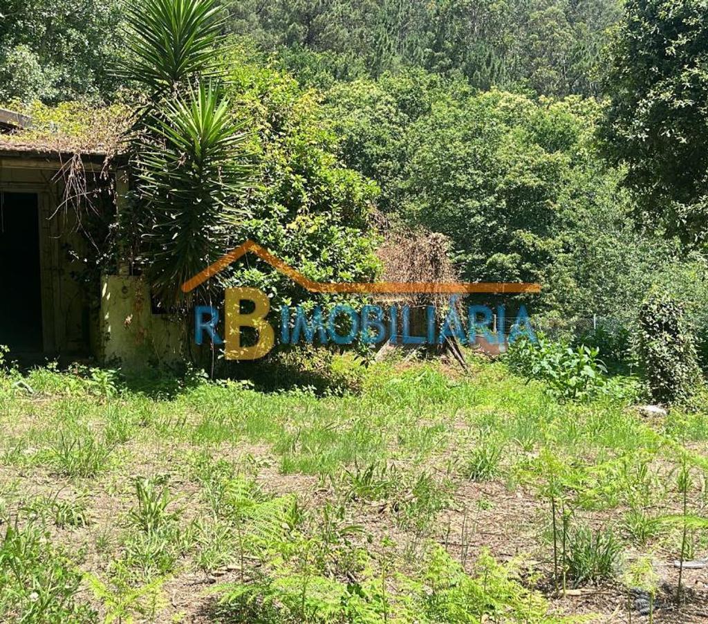 Terrenos Arouca - Fotos para Quinta dos Guardais Arouca