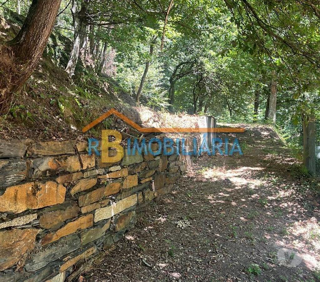 Terrenos Arouca - Fotos para Quinta dos Guardais Arouca
