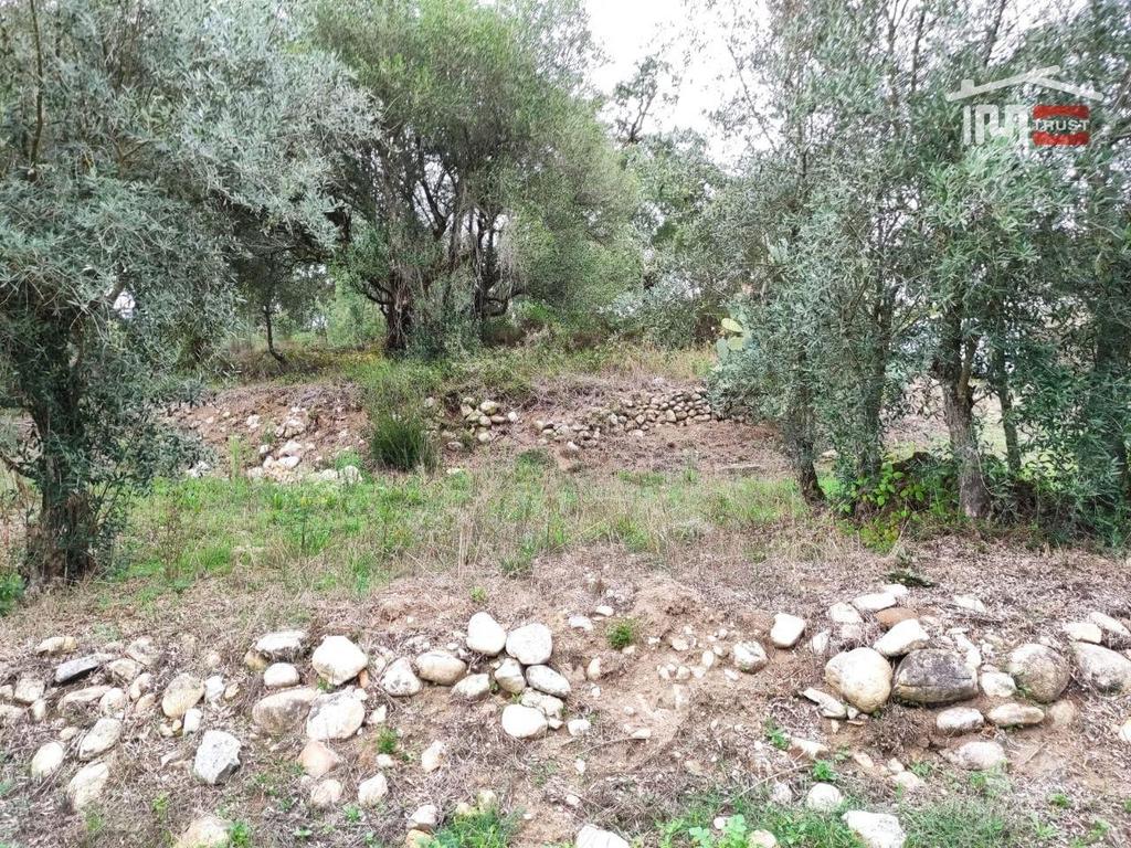 Terrenos Ourém - Fotos para Ourem-Terreno rústico, para construção. (1-T-000510)