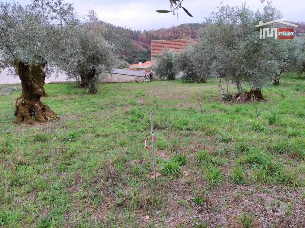 Terrenos Ourém - Fotos para Ourem-Terreno rústico, para construção. (1-T-000510)