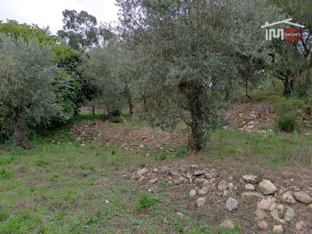 Terrenos Ourém - Fotos para Ourem-Terreno rústico, para construção. (1-T-000510)