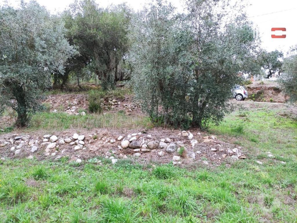 Terrenos Ourém - Fotos para Ourem-Terreno rústico, para construção. (1-T-000510)