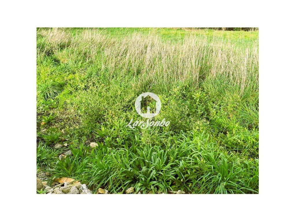 Terrenos Barcelos - Fotos para Terreno para construção a 10 minutos do Centro de Barcelos